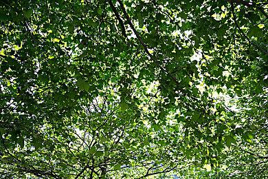 《刺客信条英灵殿》大型DLC末日曙光主角大战奥丁