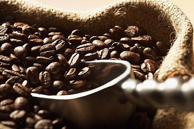 《代号：无限大》国产都市开放世界亮相TGS，外媒：期待上线！